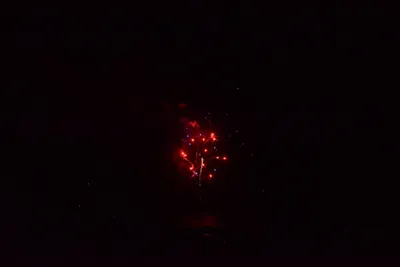 DSC_3408 (Large).JPG